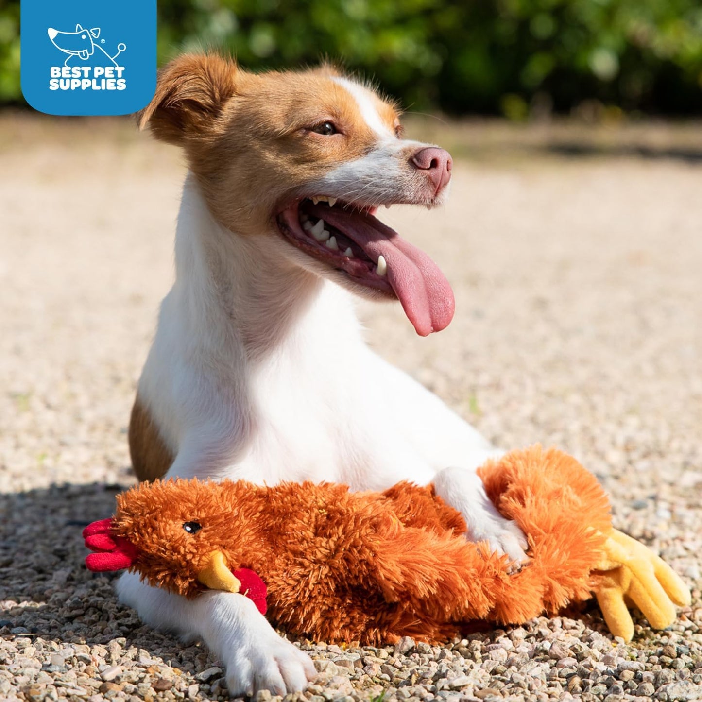 Interactive Squeaky Crinkle Dog Toy – Plush Octopus Chew