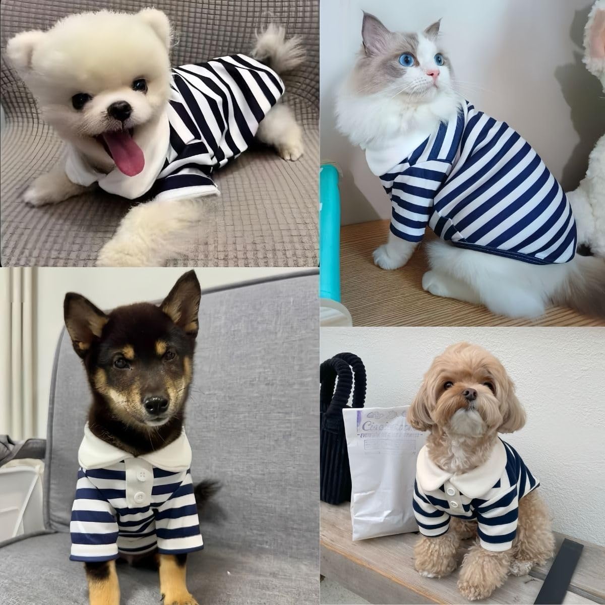 Dog Polo Shirt for Small Dogs – Soft Breathable Cotton