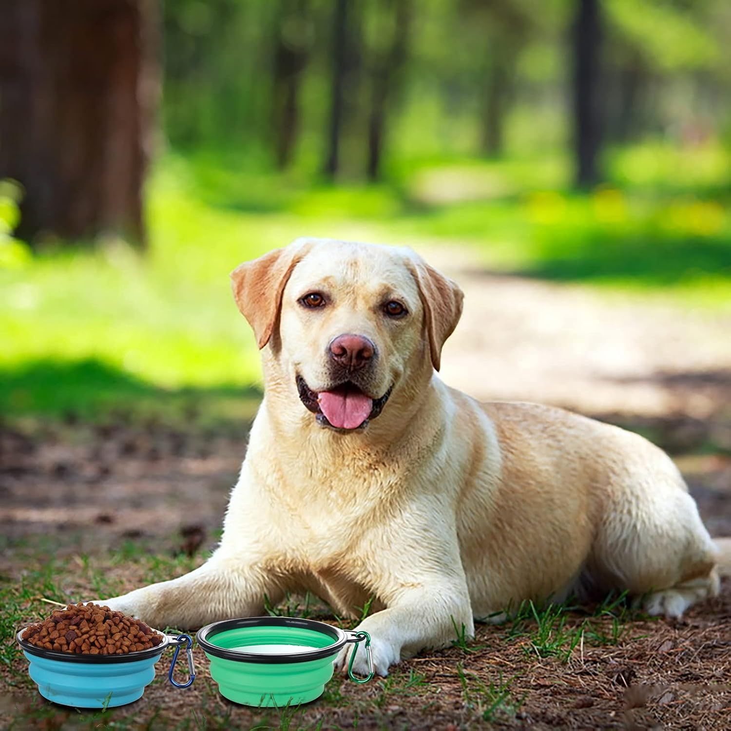 Collapsible Dog Travel Bowls with Lids – Portable 2 Pack