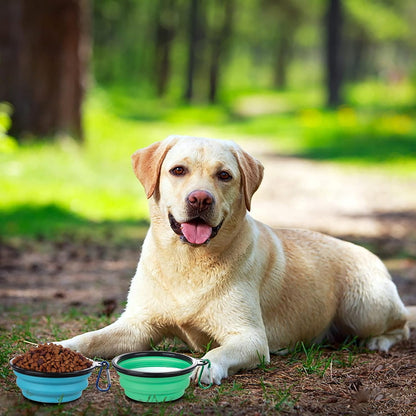 Collapsible Dog Travel Bowls with Lids – Portable 2 Pack
