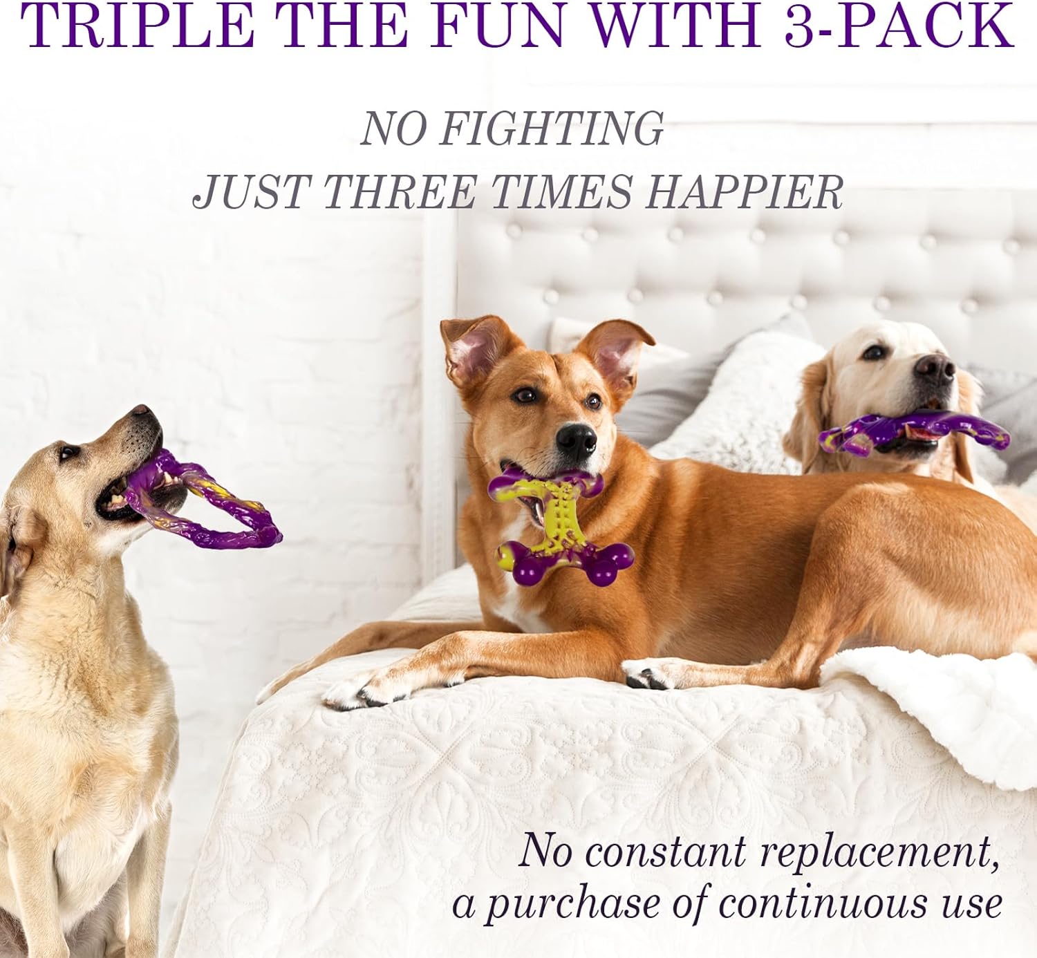 Tough Dog Chew Toys 3-Pack – Durable Bones for Aggressive Chewers
