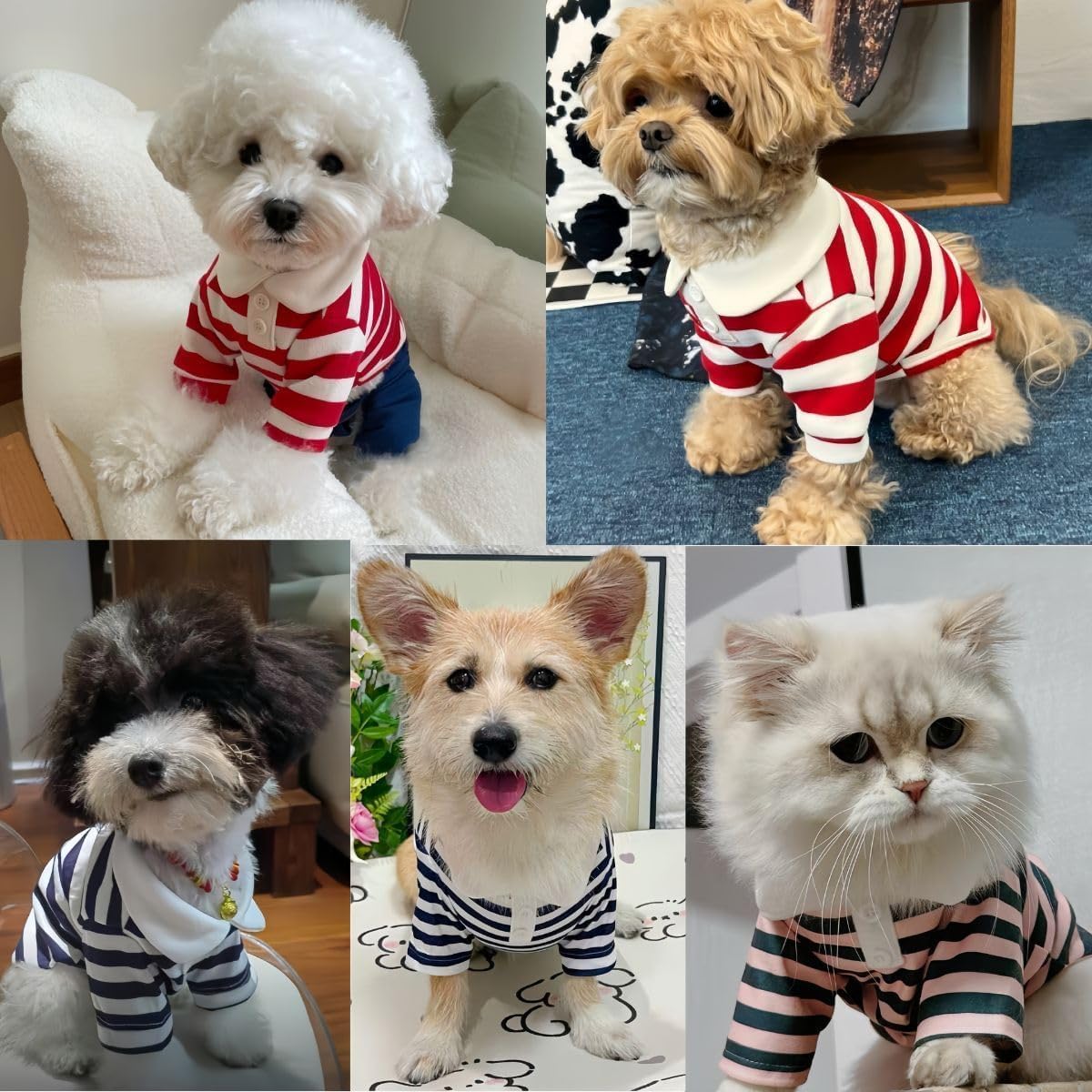 Dog Polo Shirt for Small Dogs – Soft Breathable Cotton