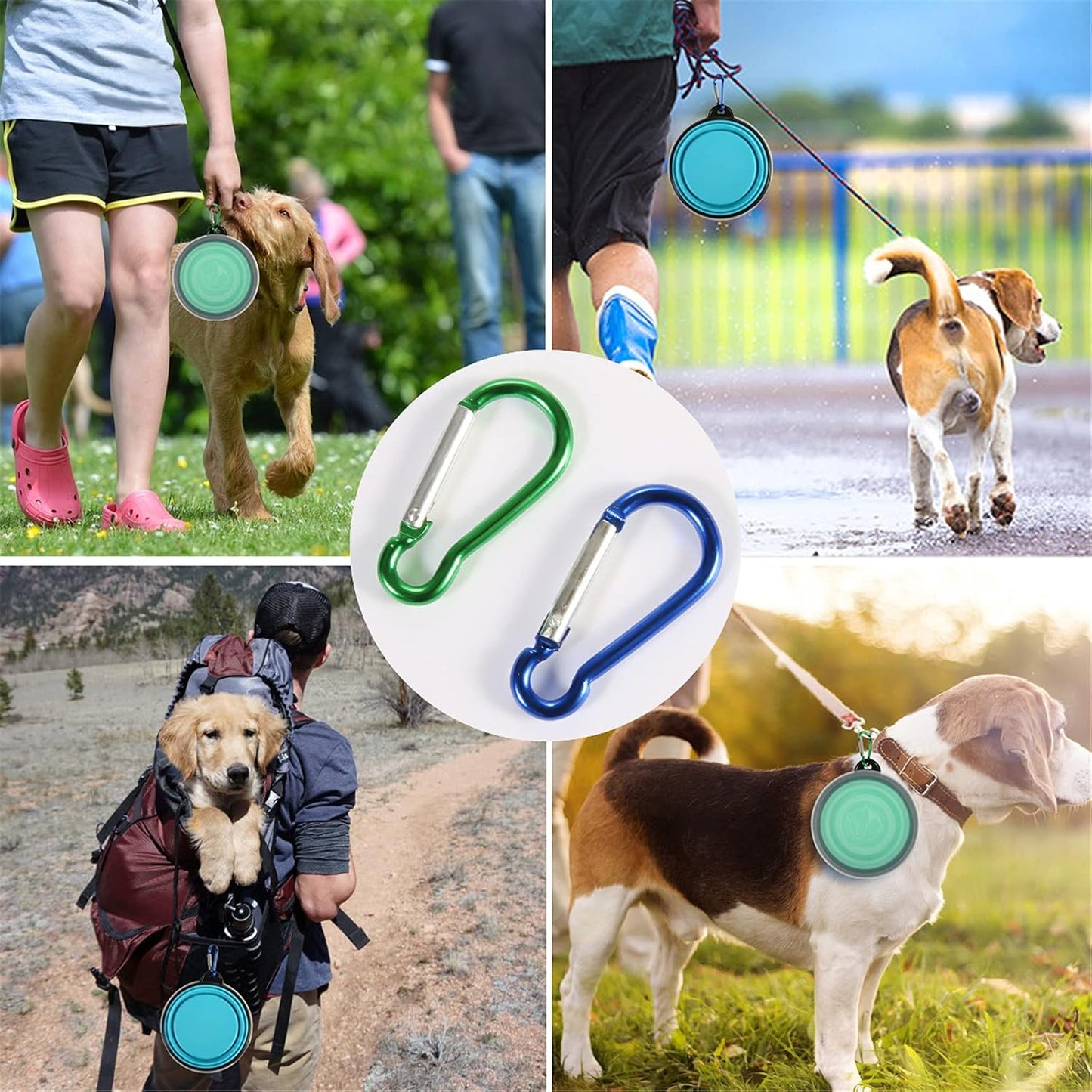 Collapsible Dog Travel Bowls with Lids – Portable 2 Pack