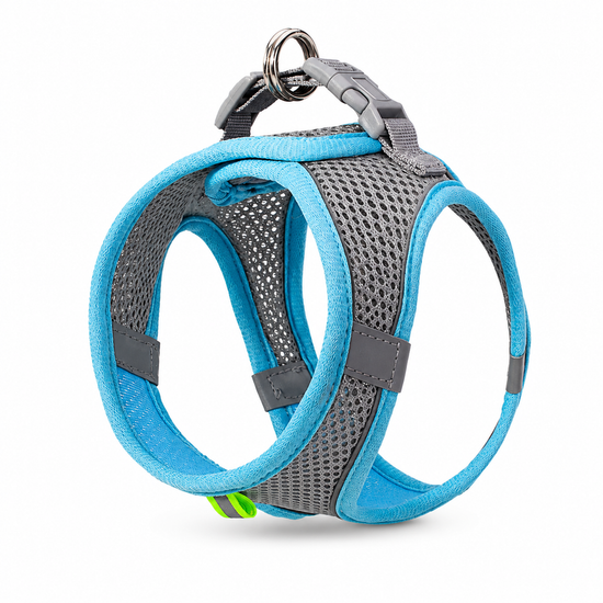 Baxter's Canine Pet Store Adjustable Reflective Pet Harness Set With Leash
