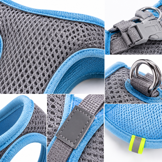 Baxter's Canine Pet Store Adjustable Reflective Pet Harness Set With Leash