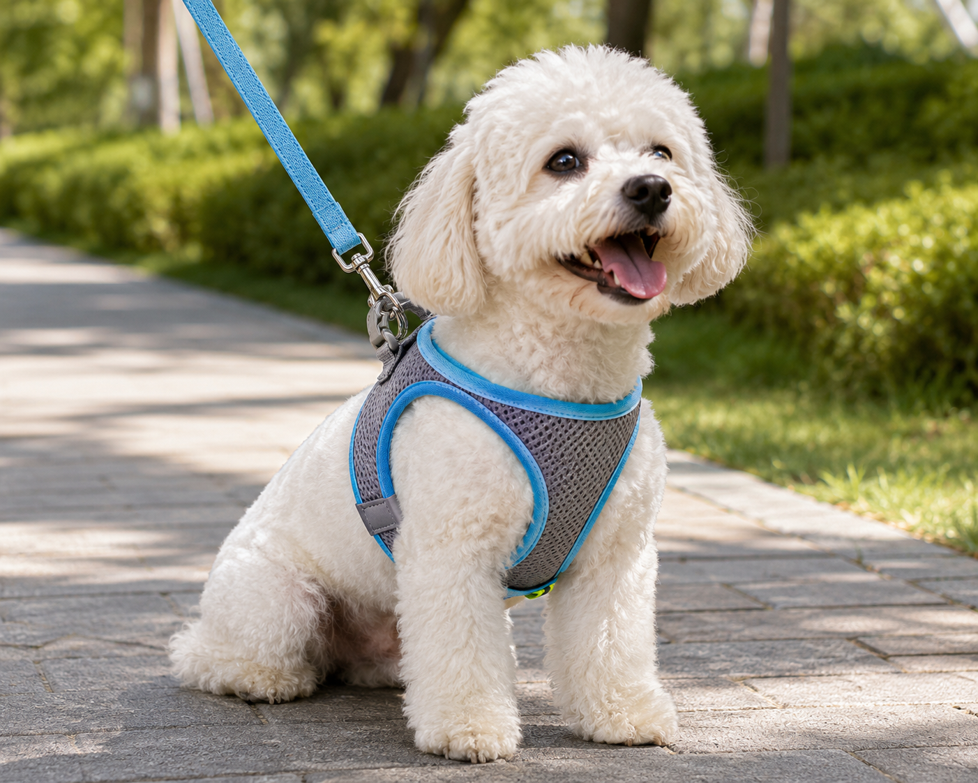 Baxter's Canine Pet Store Adjustable Reflective Pet Harness Set With Leash
