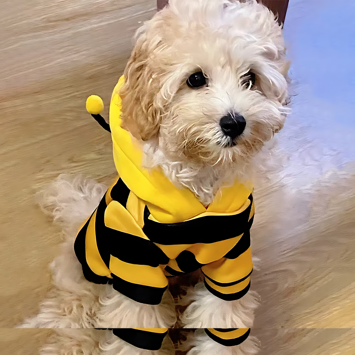 Bee Hoodie Pet Costume – Cozy Winter Dog & Cat Outfit