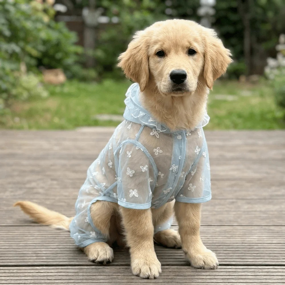 Breathable Mesh Dog Sunscreen Hoodie With Butterfly Print