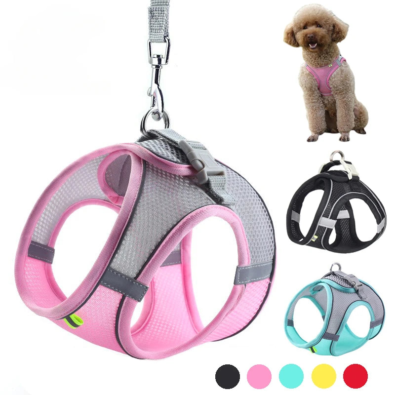 Adjustable Reflective Pet Harness Set With Leash