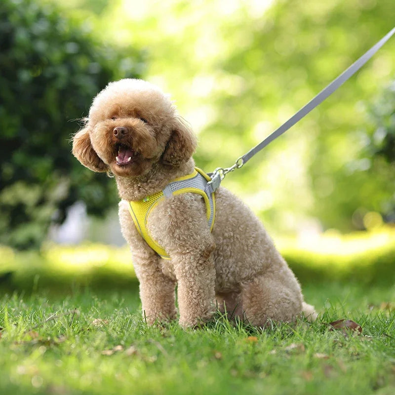Adjustable Reflective Pet Harness Set With Leash