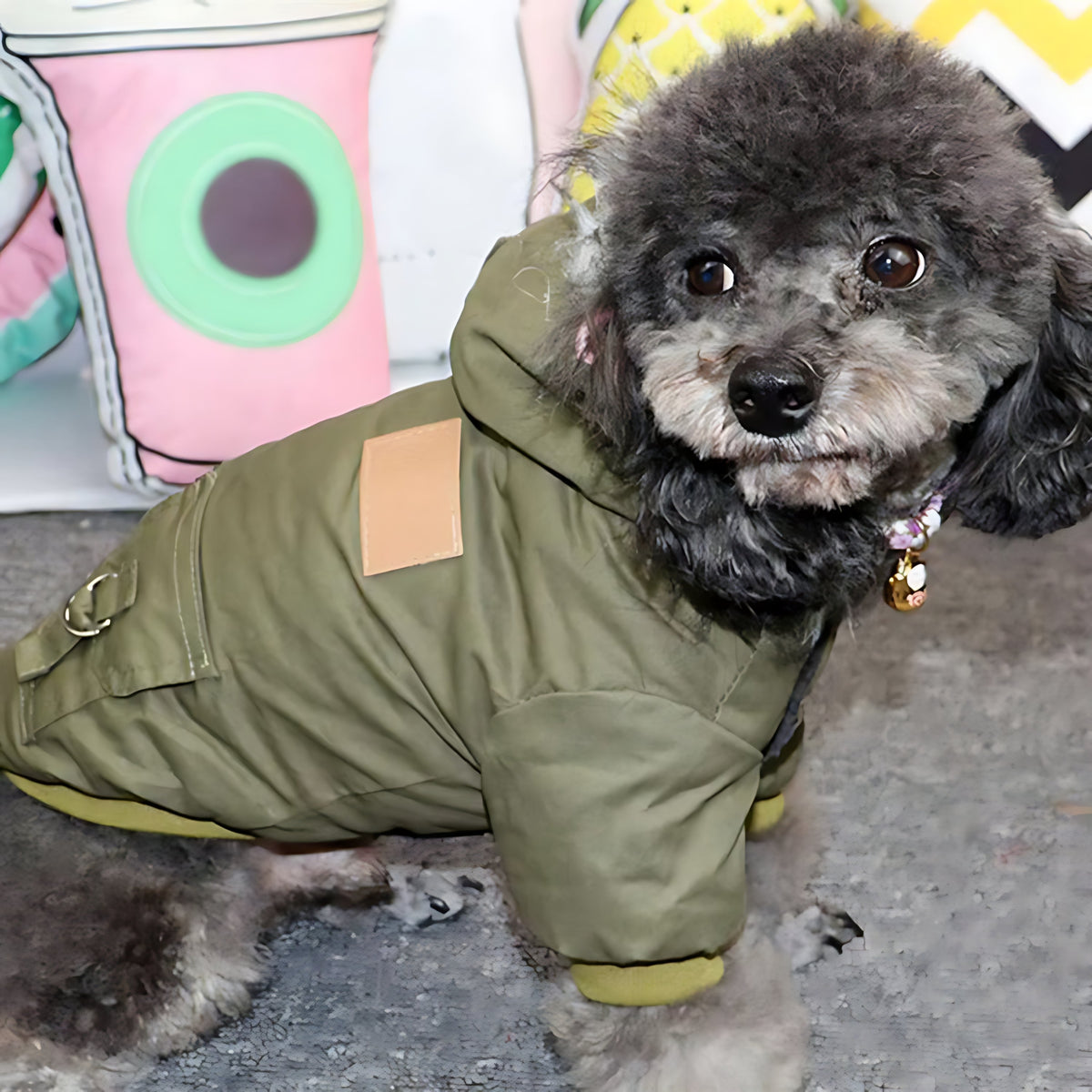 Winter Dog Hoodie Coat – Soft Warm Jacket for Small & Medium Dogs